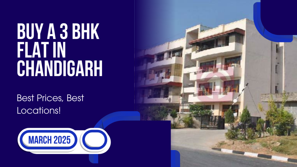 Buy a 3 BHK Flat in Chandigarh